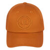 Кепка Brain Convex Logo 60 Brown - 2