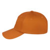 Кепка Brain Convex Logo 60 Brown - 3