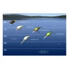 Воблер Jackall Chubby Magnum 50F SR 50mm 8.3g UL Bug - 5