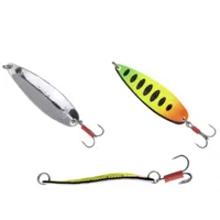 Блесна Fishing ROI IVA 15 gr 04