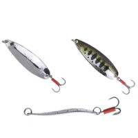 Блесна Fishing ROI IVA 15 gr 08