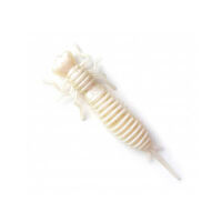 Силікон Fanatik Larva 2.5 колір 025 (за 1шт)