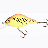 Воблер Jaxon HS Carpan 9cm колір TR, вага 27g загл. 2,5-3,0m плав.