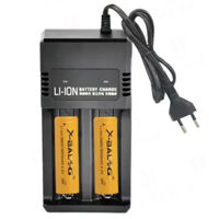 Зарядний пристрій 2x18650 MS-282AD (220В)