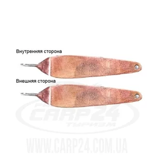 Зимова блешня вертикальна