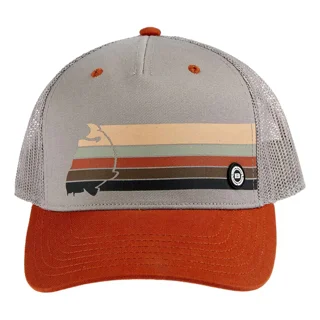 Кепка Brain Rainbow 58 Brown