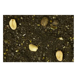 Прикормка INTERKRILL Лещ-Апельсин-Розмарин 1кг