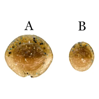 Силікон Keitech Swing Impact 3" EA#14 clear morning dawn  (за 1шт)