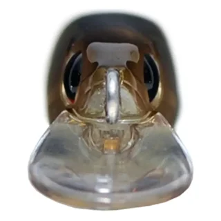 Воблер OSP Asura Durga 73 SP 73mm 4.7g S95 (1.4m)